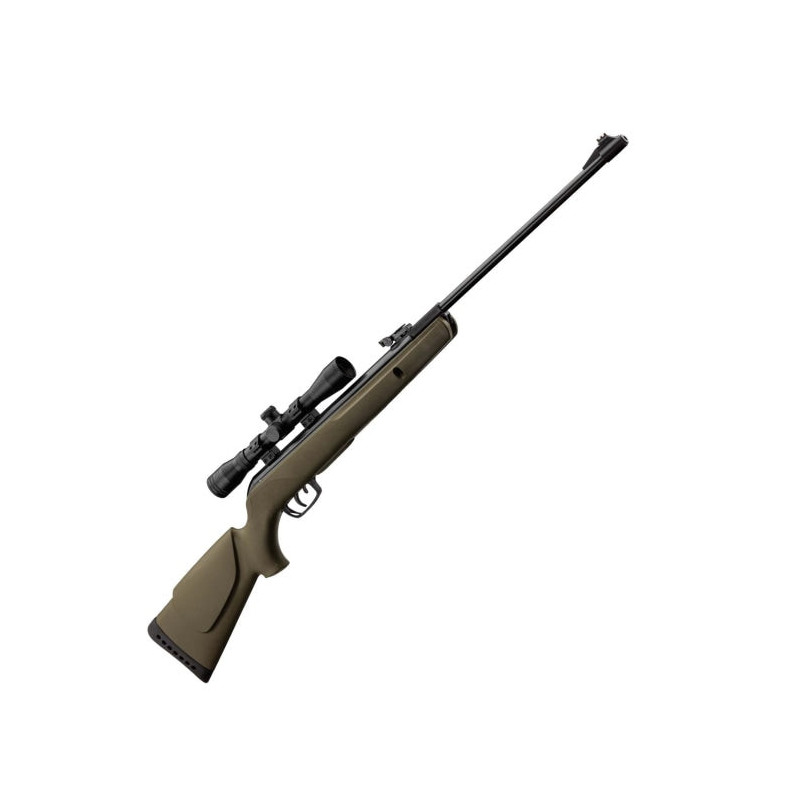 Pack carabine à plomb Gamo Big Cat 1000E Barricade - Cal. 4.5