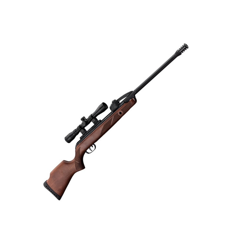 Pack carabine à plomb Gamo Fast Shot 10X IGT et lunette 4x32 WR - Cal. 4.5