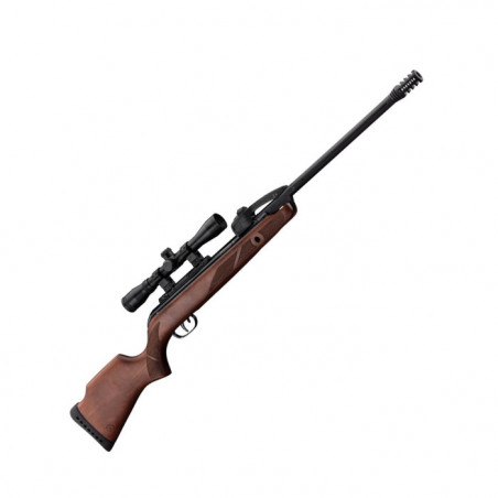 Pack carabine à plomb Gamo Fast Shot 10X IGT et lunette 4x32 WR - Cal. 4.5