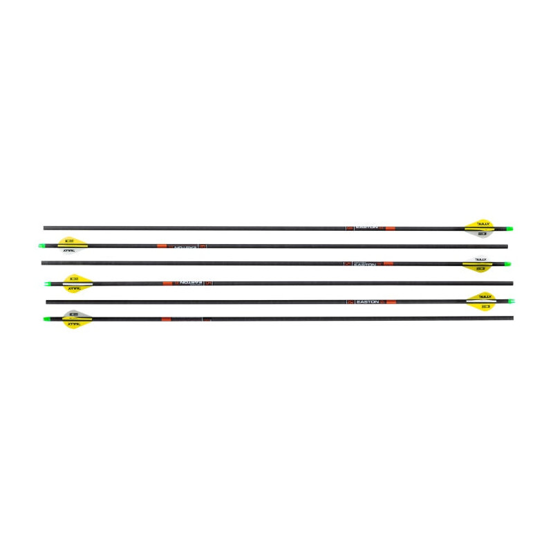 Pack de 6 Flèches Carbone Shoot Again ICS hunter - 73.6 cm