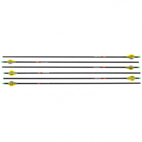 Pack de 6 Flèches Carbone Shoot Again ICS hunter - 73.6 cm