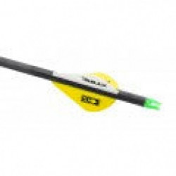 Pack de 6 Flèches Carbone Shoot Again ICS hunter - 73.6 cm