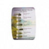 Pack de Mouche Shakespeare Sigma Fly Damsel
