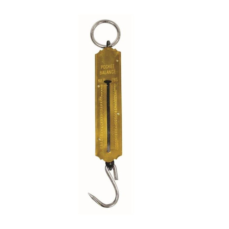Peson Fuzyon 50 Kg