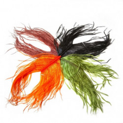 Plume d'autruche MDC