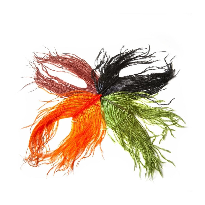 Plume d'autruche MDC