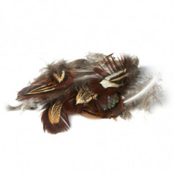 Plumes de faison MDC - Par 25