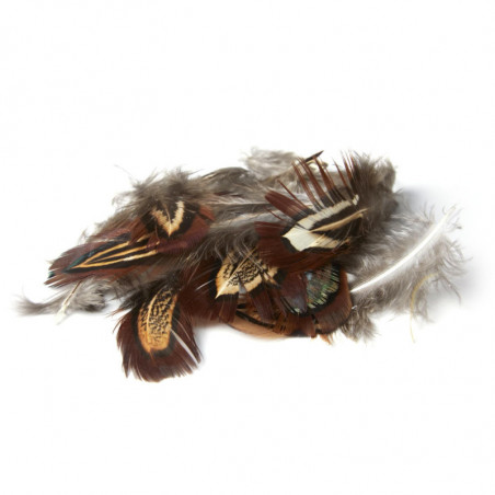 Plumes de faison MDC - Par 25