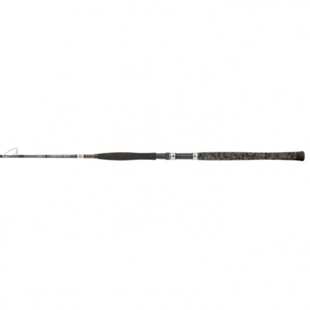 Canne Penn Legion Cat Silver Vertical