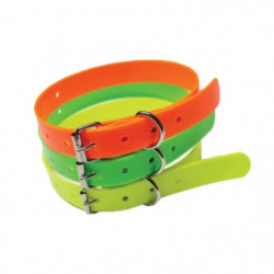 Collier pour chien standard...