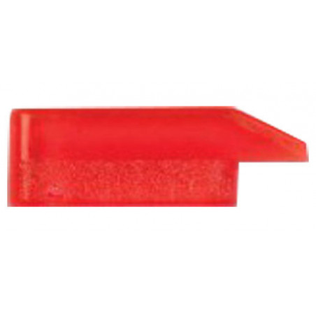Guidon rectangulaire Cor Caroli lumineux base plane
