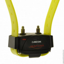 Pack Caminom Num'Axes 1500 pour 2 chiens