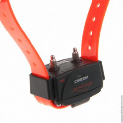 Pack Caminom Num'Axes 1500 pour 3 chiens