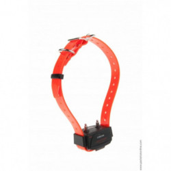 Pack Caminom Num'Axes 1500 pour 3 chiens