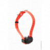 Pack Caminom Num'Axes 1500 pour 3 chiens