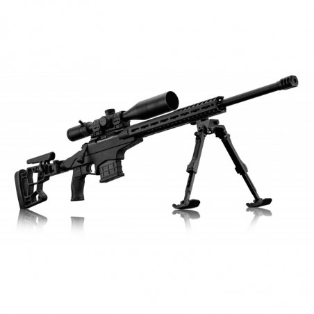 Pack carabine à verrou BCM RT-20 Bipied Lunette Microdot