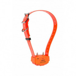 Pack collier de dressage Num'Axes Canicom 1000 - 2 chiens