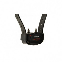 Pack collier de dressage Num'Axes Canicom 1500 - 3 chiens