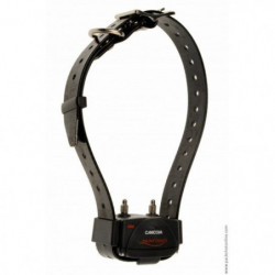 Pack collier de dressage/repérage Num'Axes Canicom 1500 Pro Canibeep Radio