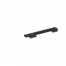 Rail long Picatinny...