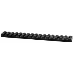 Rail Picatinny EAW Acier...