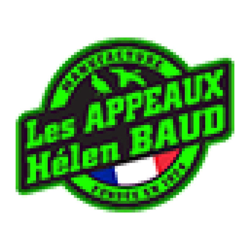 Appeau Oie Rieuse Helen Baud L'Acrylique
