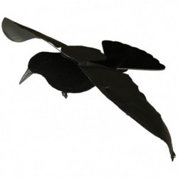 Appelant corbeau stepflap...