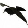 Appelant corbeau stepflap Stepland