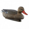 Appelant Europarm colvert femelle