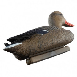 Appelant Europarm colvert femelle