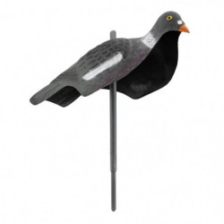 Appelant Europarm pigeon...