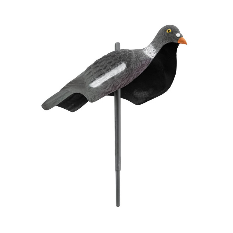 Appelant Europarm pigeon anglais