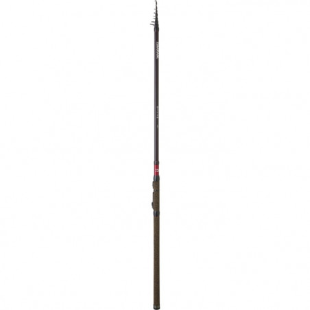 Canne Daiwa Ninja Trout