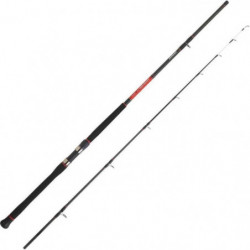 Canne Daiwa Powermesh