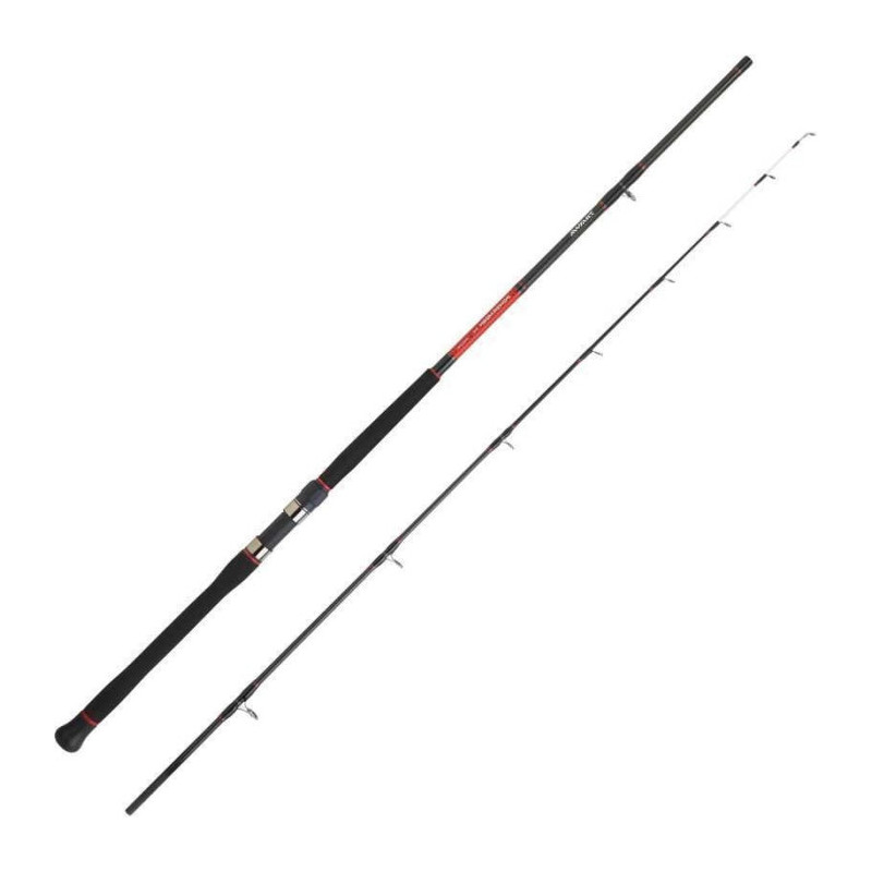 Canne Daiwa Powermesh
