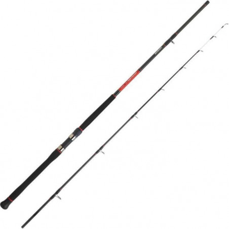 Canne Daiwa Powermesh