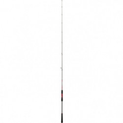 Canne Daiwa Powermesh Jigging