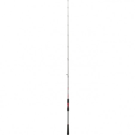 Canne Daiwa Powermesh Jigging