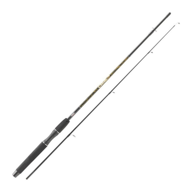 Canne Mitchell Carnassier Catch Spinning