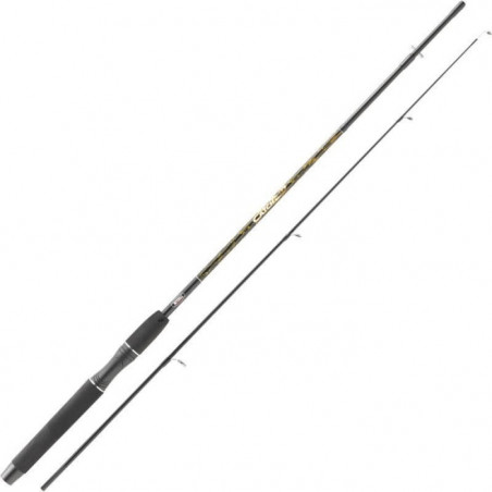 Canne Mitchell Carnassier Catch Spinning