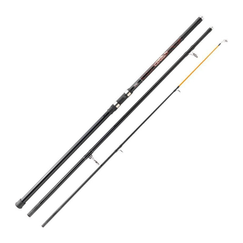 Canne Mitchell Catch Surfcasting