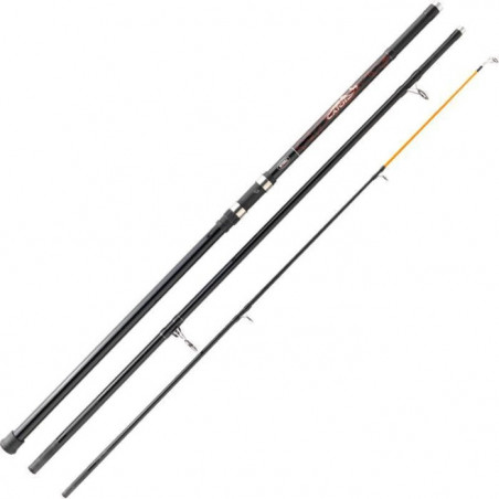 Canne Mitchell Catch Surfcasting