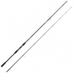 Canne Spinning Daiwa...