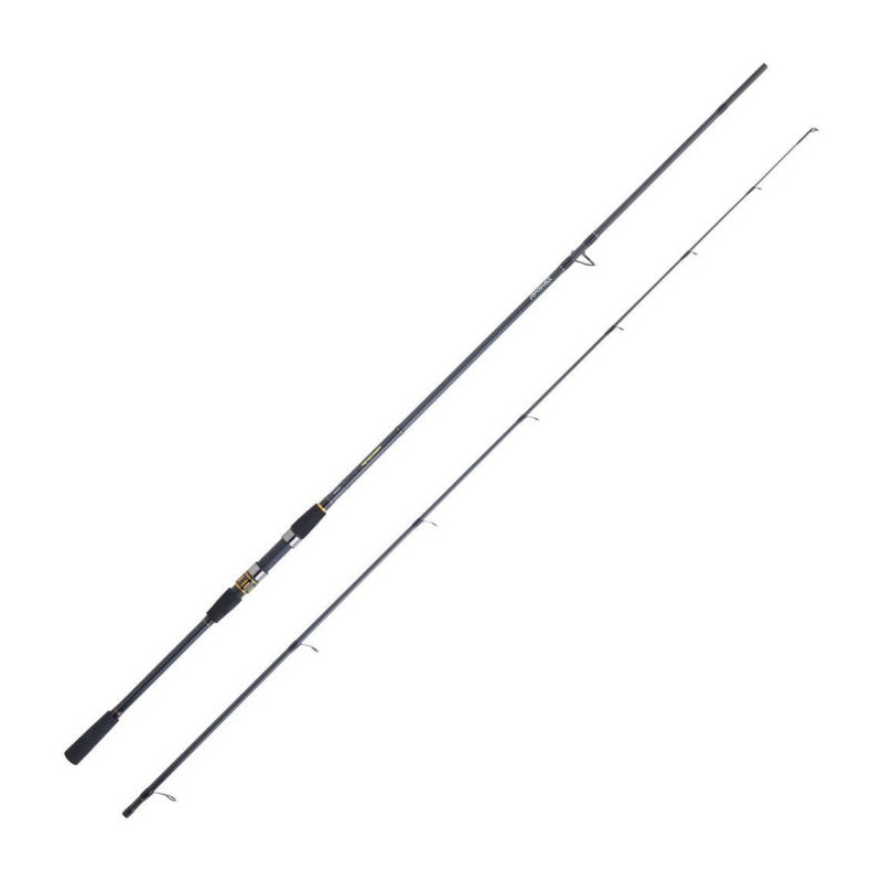 Canne Spinning Daiwa Procaster A