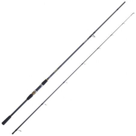 Canne Spinning Daiwa Procaster A