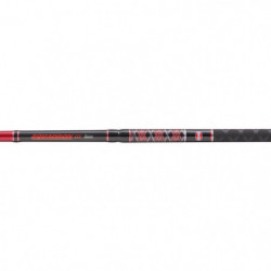 Canne Spinning Penn Squadron III Bass