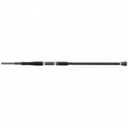Canne spinning Shakespeare SALT XT Uptide