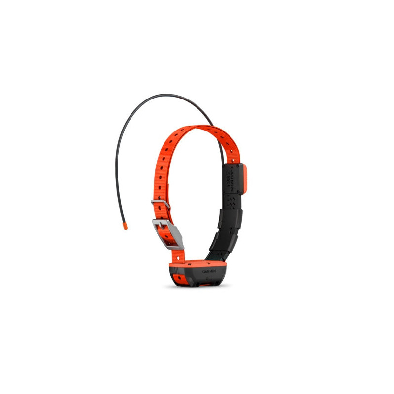 Collier de suivi et dressage Garmin Alpha T20F