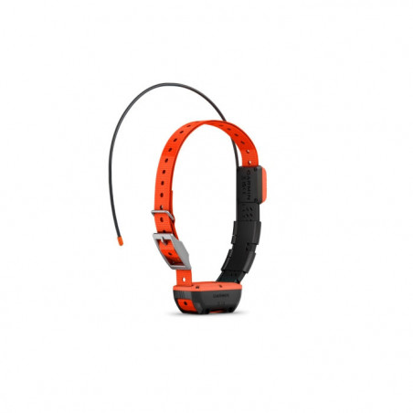 Collier de suivi et dressage Garmin Alpha T20F