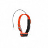 Collier de suivi et dressage Garmin Alpha T20F